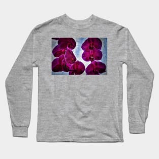 Back Lit Orchids Long Sleeve T-Shirt